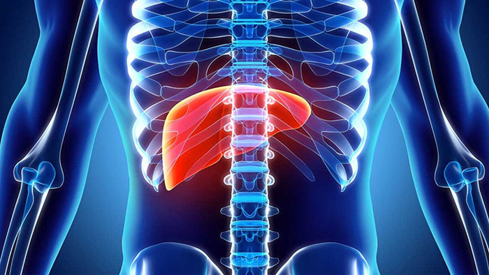 Uống gì cho mát gan hết mụn và điều trị mụn?